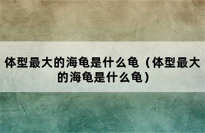 体型最大的海龟是什么龟（体型最大的海龟是什么龟）