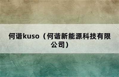 何谐kuso（何谐新能源科技有限公司）