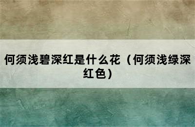 何须浅碧深红是什么花（何须浅绿深红色）