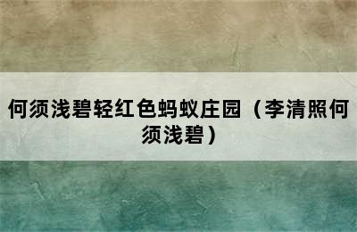 何须浅碧轻红色蚂蚁庄园（李清照何须浅碧）