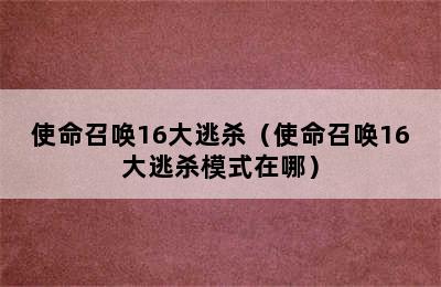 使命召唤16大逃杀（使命召唤16大逃杀模式在哪）