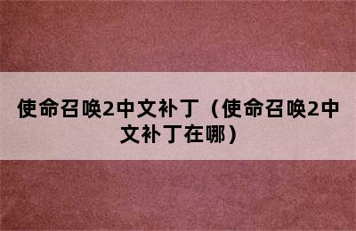 使命召唤2中文补丁（使命召唤2中文补丁在哪）