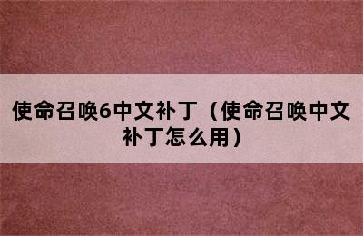 使命召唤6中文补丁（使命召唤中文补丁怎么用）