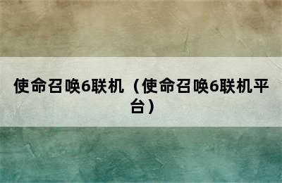 使命召唤6联机（使命召唤6联机平台）