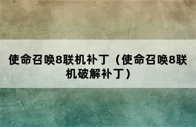 使命召唤8联机补丁（使命召唤8联机破解补丁）