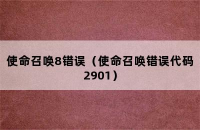 使命召唤8错误（使命召唤错误代码2901）