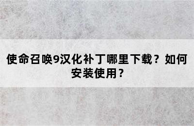 使命召唤9汉化补丁哪里下载？如何安装使用？