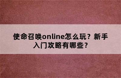 使命召唤online怎么玩？新手入门攻略有哪些？