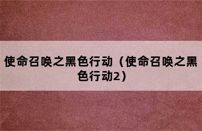 使命召唤之黑色行动（使命召唤之黑色行动2）