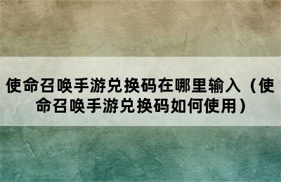 使命召唤手游兑换码在哪里输入（使命召唤手游兑换码如何使用）