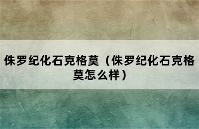 侏罗纪化石克格莫（侏罗纪化石克格莫怎么样）