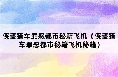 侠盗猎车罪恶都市秘籍飞机（侠盗猎车罪恶都市秘籍飞机秘籍）