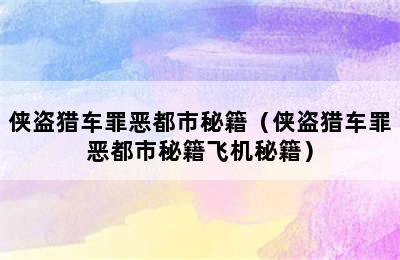 侠盗猎车罪恶都市秘籍（侠盗猎车罪恶都市秘籍飞机秘籍）