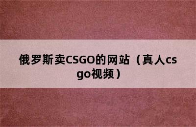 俄罗斯卖CSGO的网站（真人csgo视频）