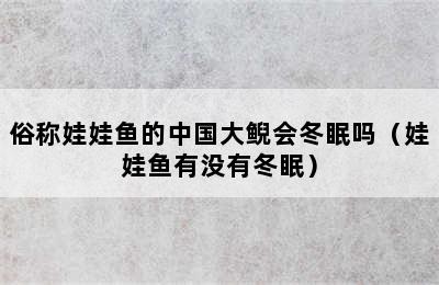 俗称娃娃鱼的中国大鲵会冬眠吗（娃娃鱼有没有冬眠）