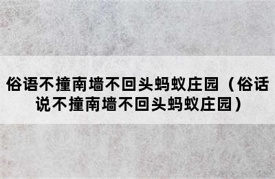 俗语不撞南墙不回头蚂蚁庄园（俗话说不撞南墙不回头蚂蚁庄园）