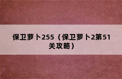 保卫萝卜255（保卫萝卜2第51关攻略）