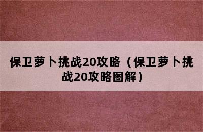 保卫萝卜挑战20攻略（保卫萝卜挑战20攻略图解）