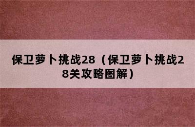 保卫萝卜挑战28（保卫萝卜挑战28关攻略图解）