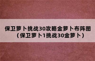 保卫萝卜挑战30攻略金萝卜布阵图（保卫萝卜1挑战30金萝卜）