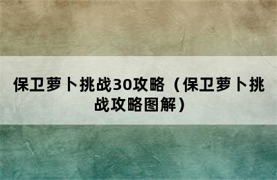 保卫萝卜挑战30攻略（保卫萝卜挑战攻略图解）