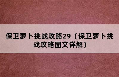 保卫萝卜挑战攻略29（保卫萝卜挑战攻略图文详解）