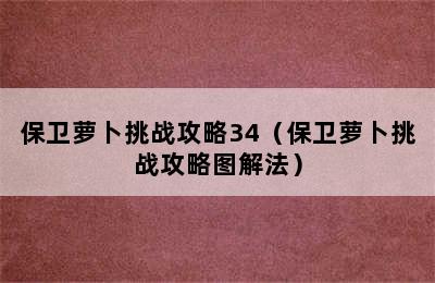 保卫萝卜挑战攻略34（保卫萝卜挑战攻略图解法）