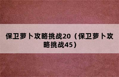 保卫萝卜攻略挑战20（保卫萝卜攻略挑战45）