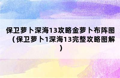 保卫萝卜深海13攻略金萝卜布阵图（保卫萝卜1深海13完整攻略图解）