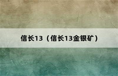 信长13（信长13金银矿）