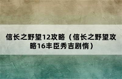 信长之野望12攻略（信长之野望攻略16丰臣秀吉剧惰）