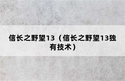 信长之野望13（信长之野望13独有技术）