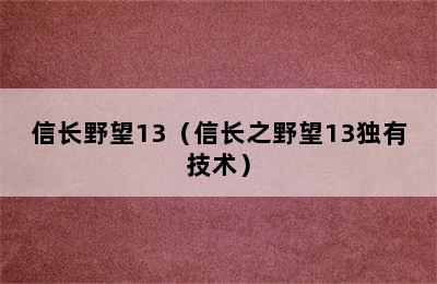 信长野望13（信长之野望13独有技术）