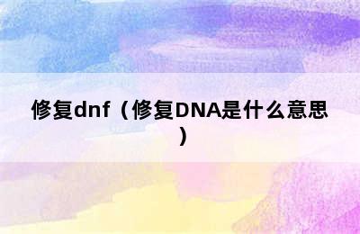 修复dnf（修复DNA是什么意思）