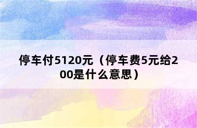 停车付5120元（停车费5元给200是什么意思）