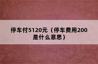 停车付5120元（停车费用200是什么意思）