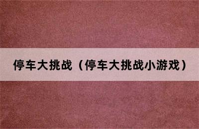 停车大挑战（停车大挑战小游戏）