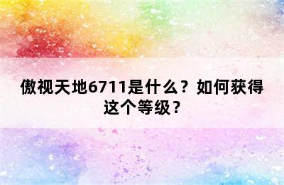 傲视天地6711是什么？如何获得这个等级？