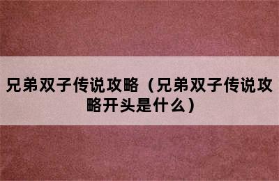 兄弟双子传说攻略（兄弟双子传说攻略开头是什么）