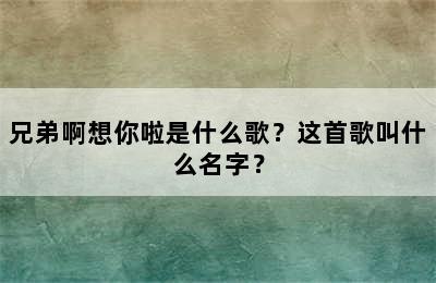 兄弟啊想你啦是什么歌？这首歌叫什么名字？