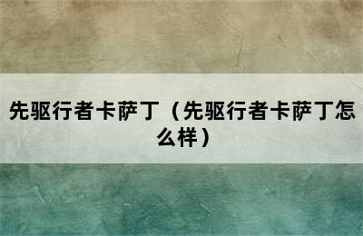 先驱行者卡萨丁（先驱行者卡萨丁怎么样）