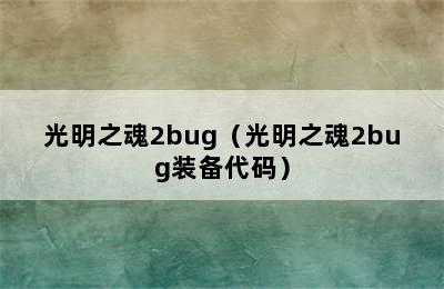 光明之魂2bug（光明之魂2bug装备代码）