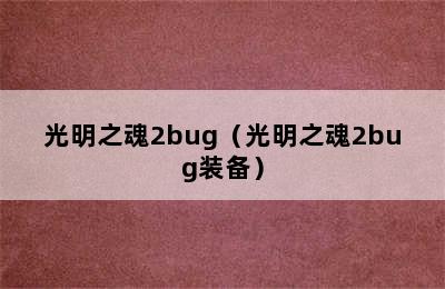 光明之魂2bug（光明之魂2bug装备）