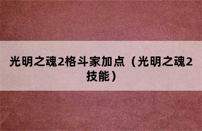 光明之魂2格斗家加点（光明之魂2技能）