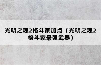 光明之魂2格斗家加点（光明之魂2格斗家最强武器）