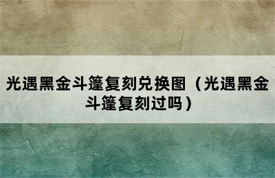 光遇黑金斗篷复刻兑换图（光遇黑金斗篷复刻过吗）