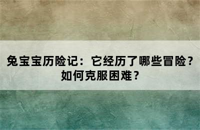 兔宝宝历险记：它经历了哪些冒险？如何克服困难？