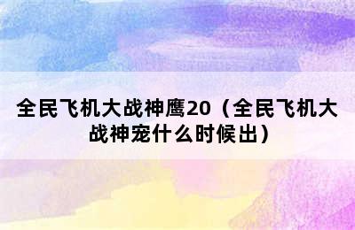 全民飞机大战神鹰20（全民飞机大战神宠什么时候出）