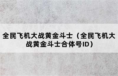 全民飞机大战黄金斗士（全民飞机大战黄金斗士合体号ID）