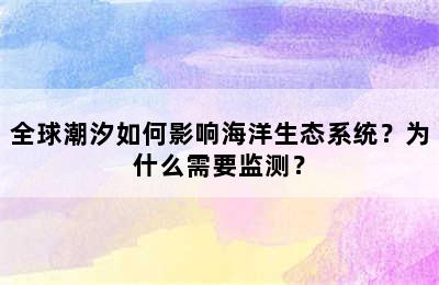 全球潮汐如何影响海洋生态系统？为什么需要监测？